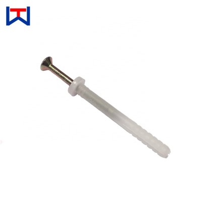 China Hammer Drive Hollow Metal with Nail Nylon Plastic Anchor M6x35