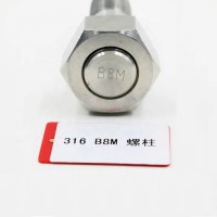 High quality A193 B8M thread stud bolt with 2 nut